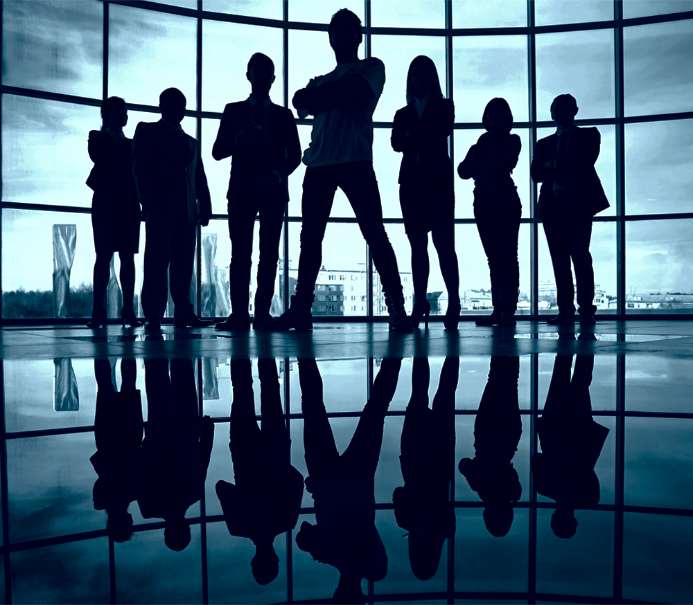 About Ceylon systems