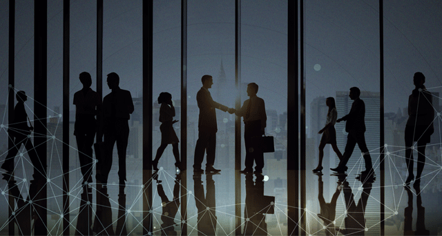 Web development services in the Netherlands