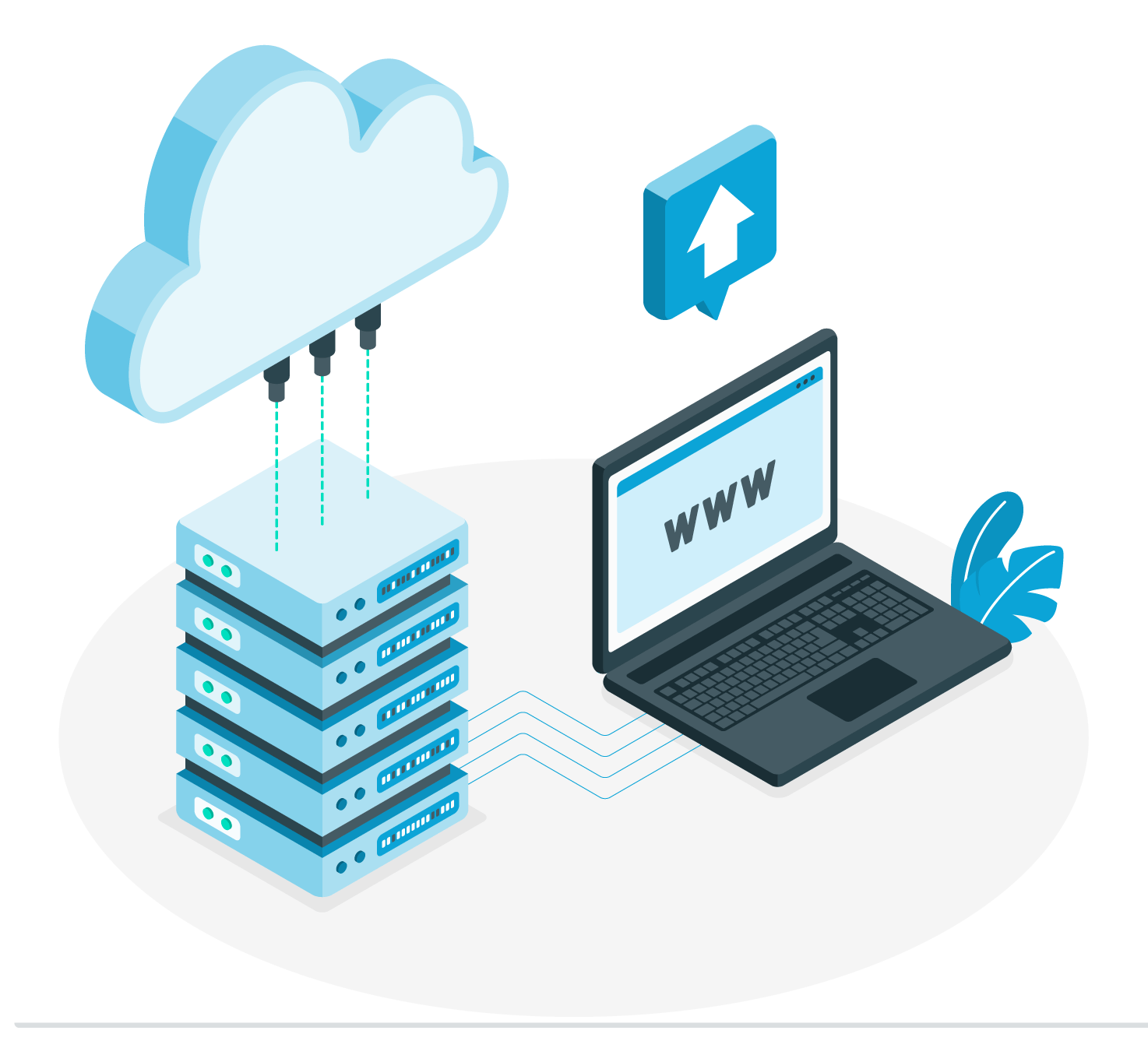 Web Hosting