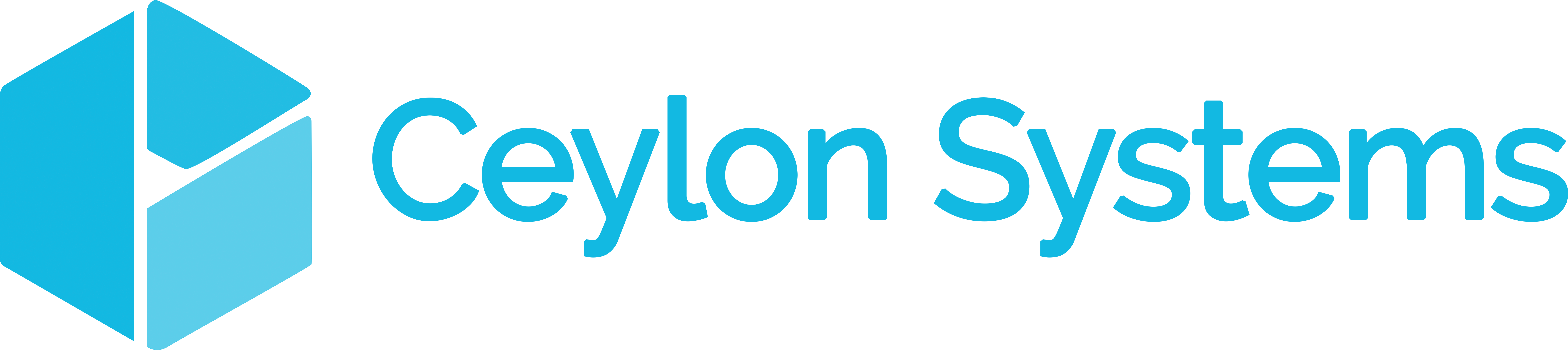 Ceylon systems logo