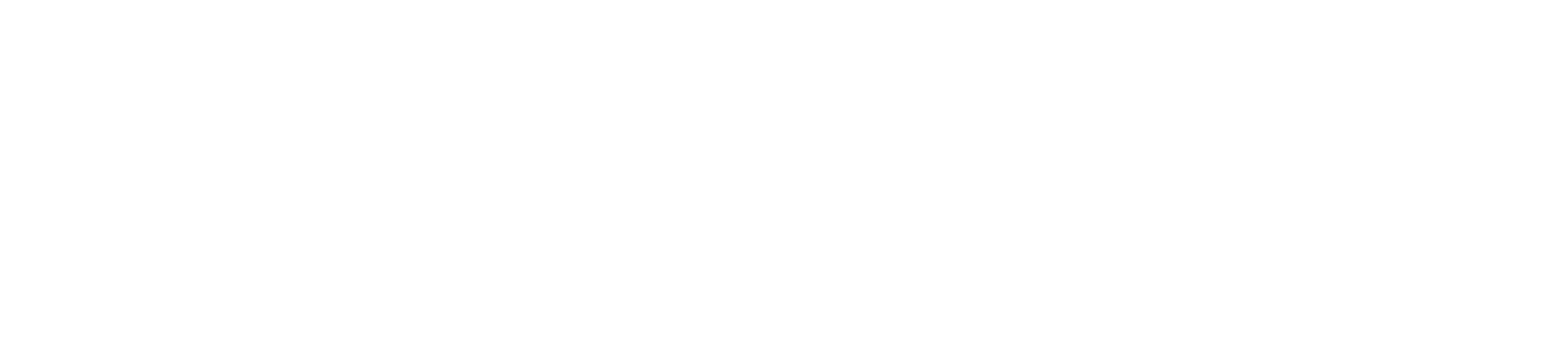 Ceylon systems logo